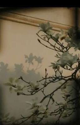 [GenHaru][YoHaji][Shortfic][R17] Vấy Bẩn