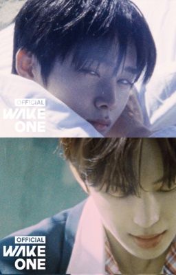 geonxin | mục ruỗng