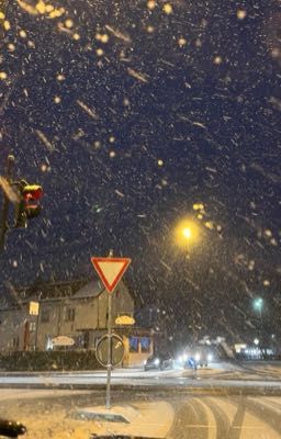 Geonxin | textfic | chuyển nhà ngày đông