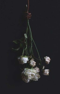 ghosting ¦ sope ¦