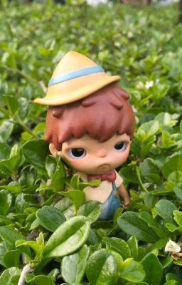 GIA VỊ CỦA ÁNH SÁNG