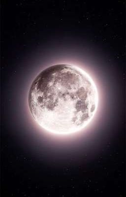 giấc mơ [HeeJake]