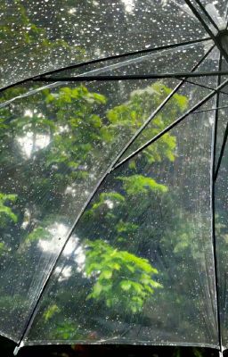 giết người dấu yêu | tonnen
