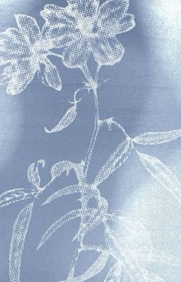 gillbinh | đắm chìm