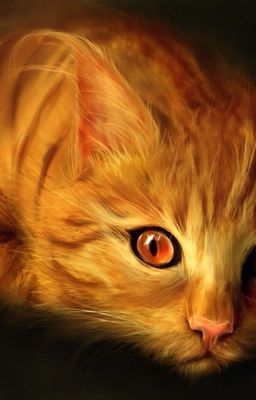 Ginger's Story