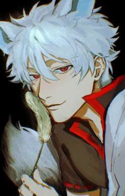 Gintoki Hôm Nay Sờ Cá Sao