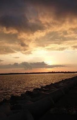 Gió Đồng Chưa Dứt Tiếng Lòng Ai