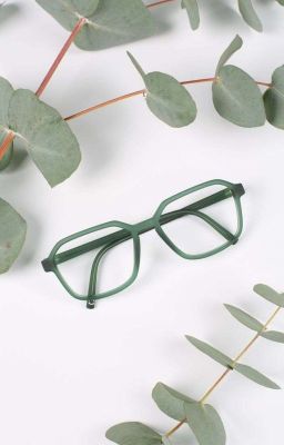 Glasses 