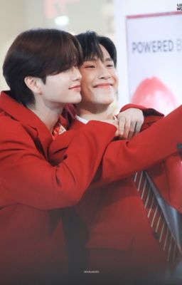 Góc nhỏ của Junior Mark