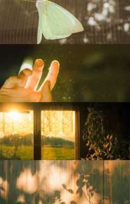 Góc nhỏ của tôi