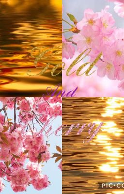 Gold and Cherry