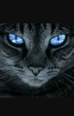 Guess That Warrior Cat!!