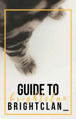 Guide to BrightClan