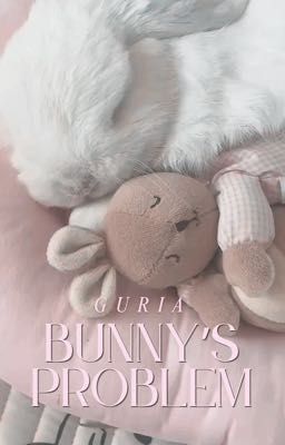 guria₊˚⊹ bunny's problem