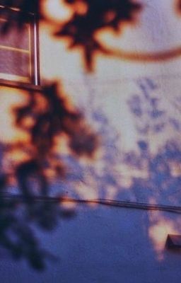 guria ✧ hạ nắng cháy