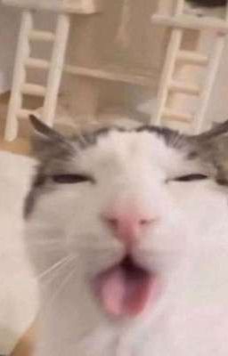 [H Văn] Trừng phạt