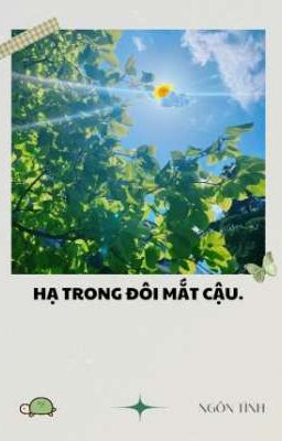 Hạ trong đôi mắt cậu