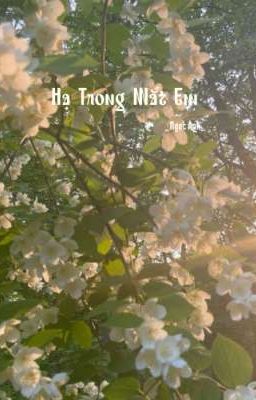Hạ Trong Mắt Em