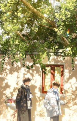 Hai Mảnh Ghép Của Một Trái Tim