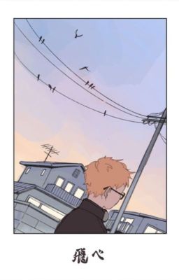 [Haikyuu!!xReader] Your boyfriend