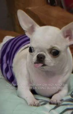 Hành trình bị lãng quên bởi thế giới 