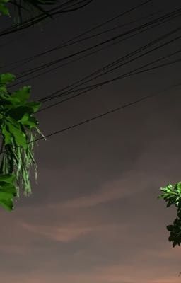 Hành trình tìm lại ký ức 