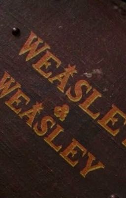 [HarDra] Trông bé Hugo