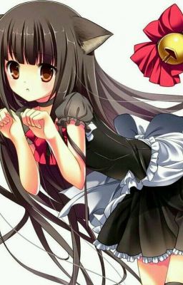 Harem Sisters x Male Reader
