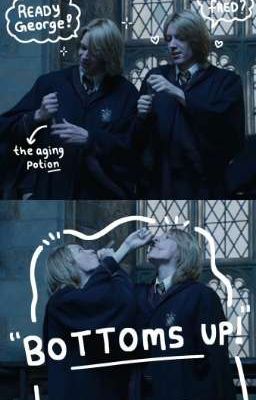 Harry Potter - Ba cốc chocolate