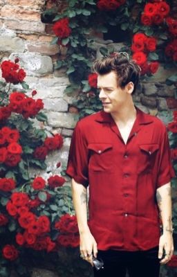 Harry's bio