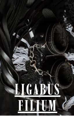 [HarryDraco] Ligabus Filium