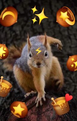 Hạt Dẻ Mật Ong