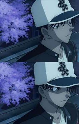 [Hattori Heiji x Reader] Tùy Em
