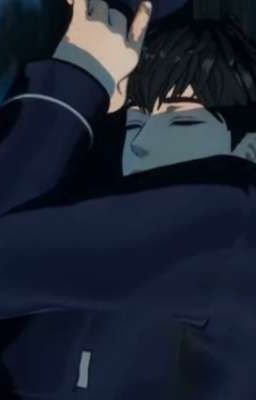 [HaYe] Mèo con ốm rồi 🫳 🐈‍⬛