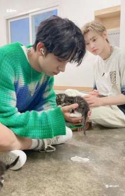 HeeHoon Oneshots 