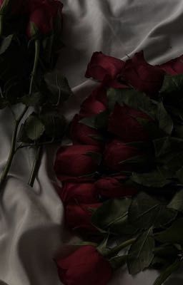 Heejake | số trời