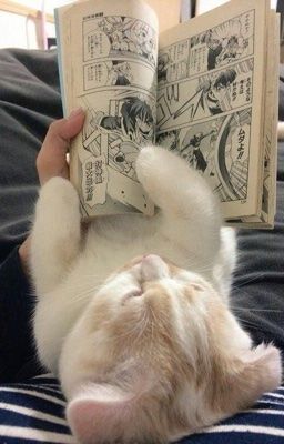 heejakehoonjay ✘ toà không chơi toà không hiểu được đâu