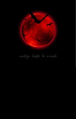 ✔ heejay  ,̲ bliss | R21