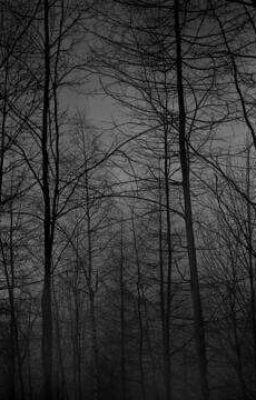Help (Poem)