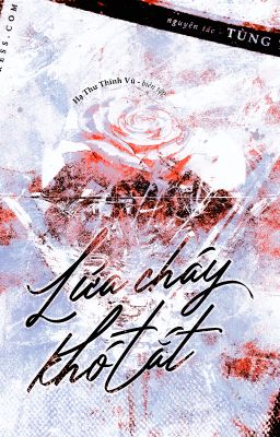 [Hết] Lửa Cháy Khó Tắt