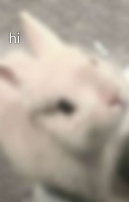 hi