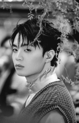 [HieuAn] Mùa Cô Đơn | Fronav.