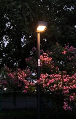 [ hieukng] Tháng mấy anh nhớ em .. 