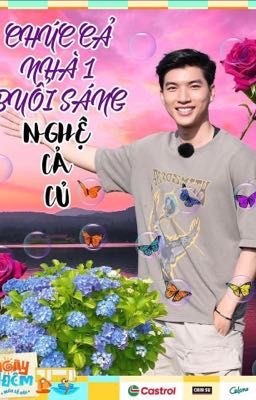 hieusol || bé yêu