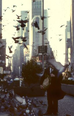 hieusol | new york city | giá mà anh