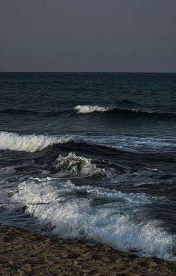 [HLE x Zeka] Tương Lai Nào Cho Đôi Ta?