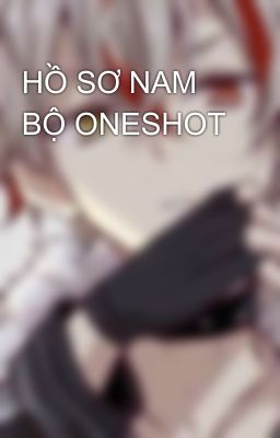 HỒ SƠ NAM BỘ ONESHOT 