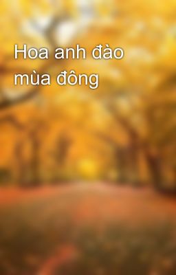 Hoa anh đào mùa đông