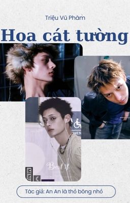 HOA CÁT TƯỜNG 
