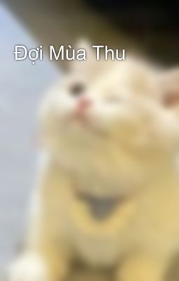 Hoa hồng và tội ác